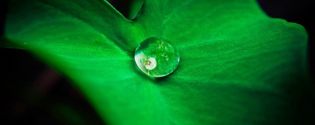 droplet for spiritual work