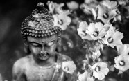 image of buddha with flowers